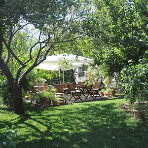 ** Hotel Gulec Turquie